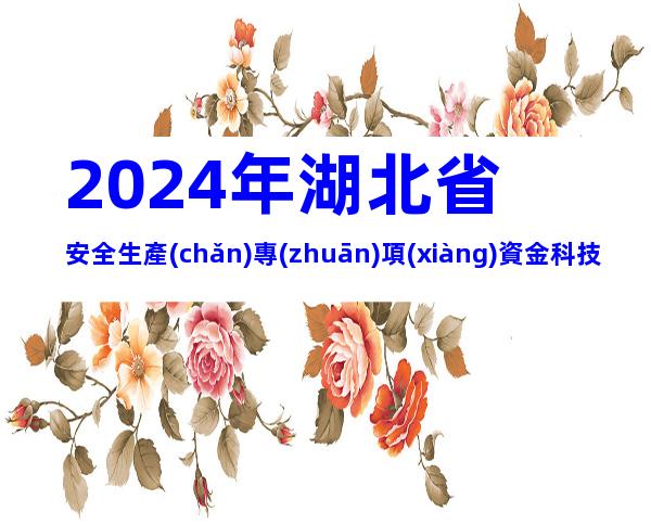 2024年湖北省安全生產(chǎn)專(zhuān)項(xiàng)資金科技項(xiàng)目申報(bào)條件、程序、資料